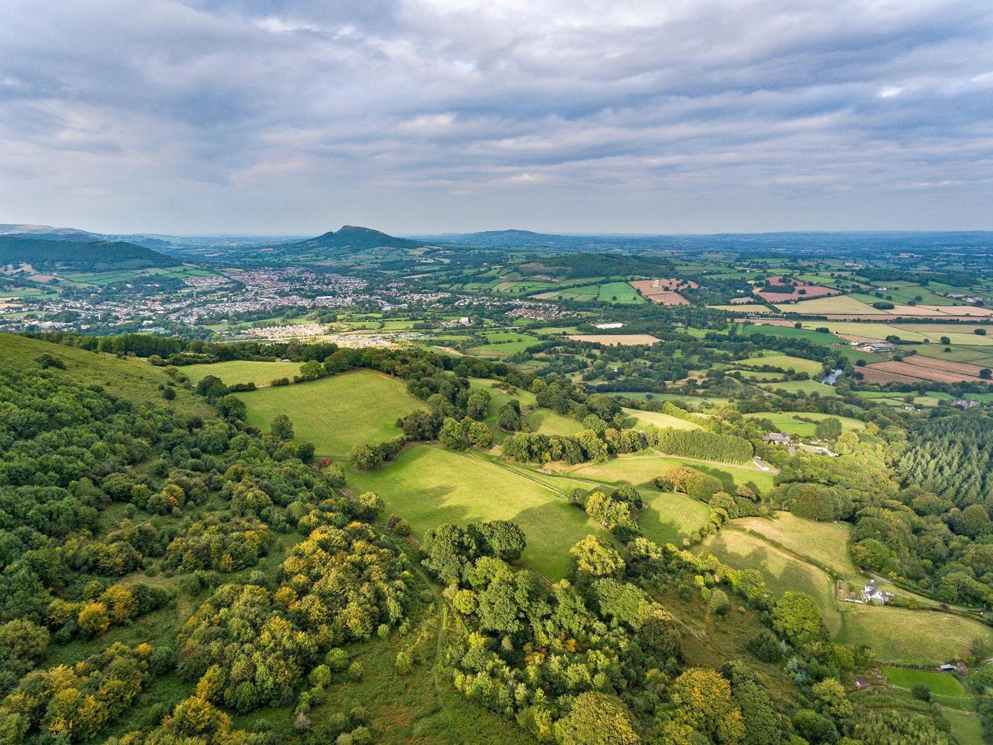 The * Wonastow